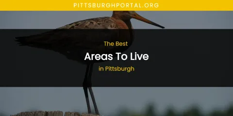 The Best Areas to Live in Pittsburgh